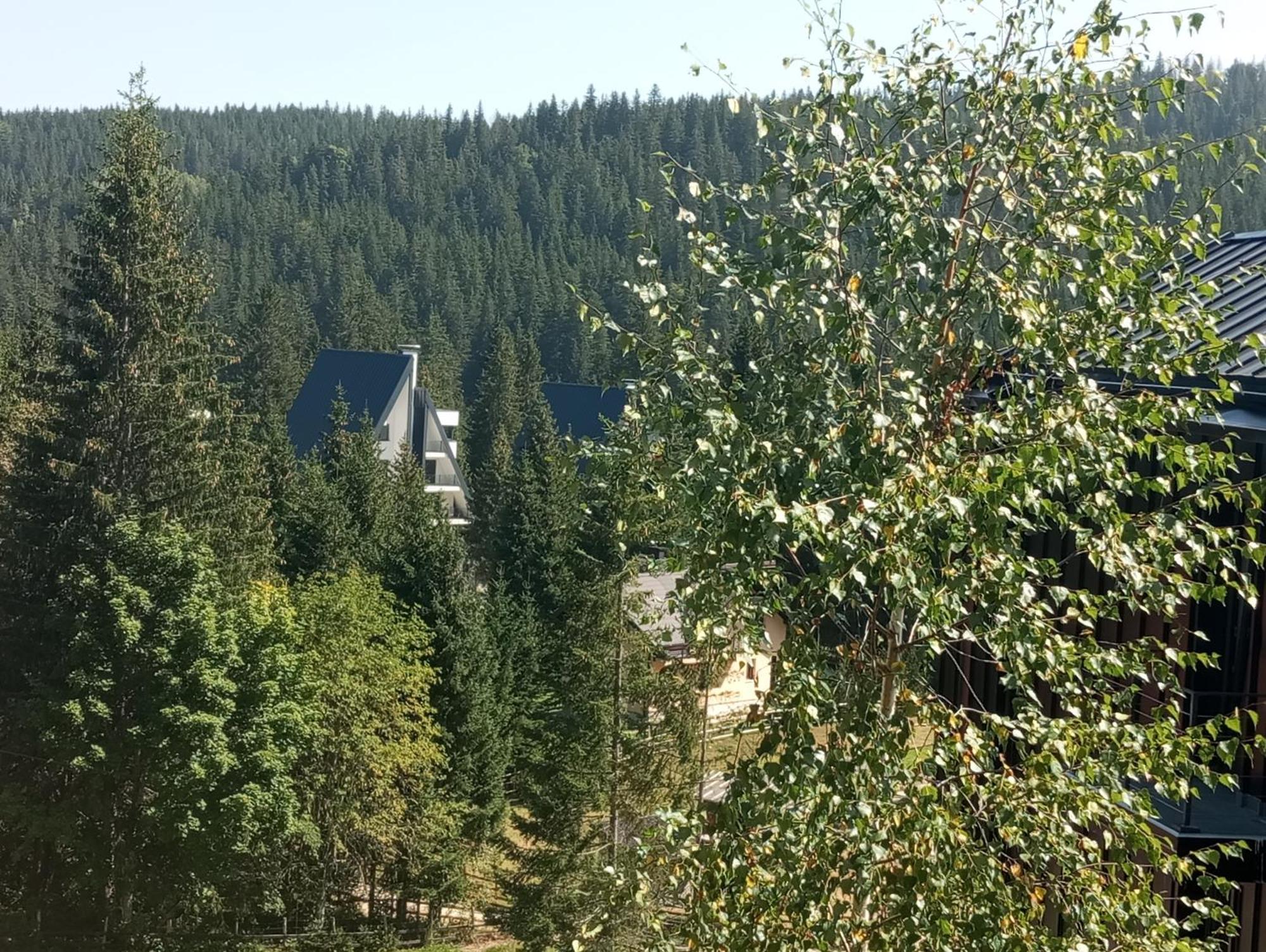 Villa Pahuljica Jahorina Kültér fotó